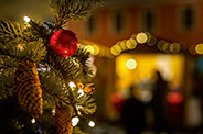Weihnachtsschmuck in der Wiener Neustädter Innenstadt © Wiener Alpen/Christian Kremsl